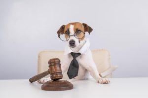 which pets are legal in india
