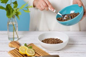 Homemade Dog Food for Weight Loss