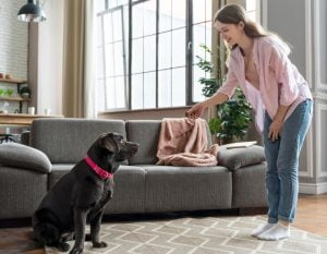best dogs for home security in India