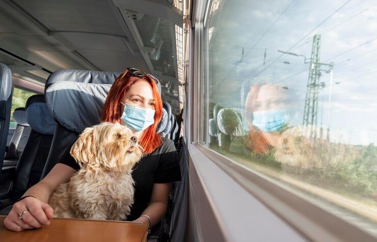 Transporting Pets by Train