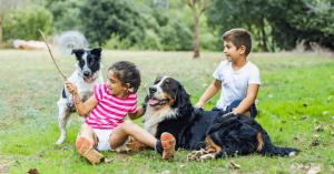 Top Child-Friendly Dog Breeds in India